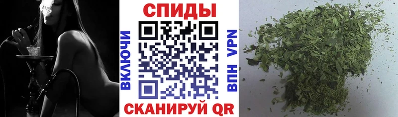 мега маркетплейс  Красногорск  darknet телеграм  БУТИРАТ оксана 