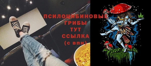 спиды Алексеевка