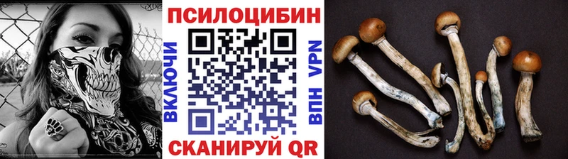 купить наркотик  Красногорск  гидра   Галлюциногенные грибы мухоморы 